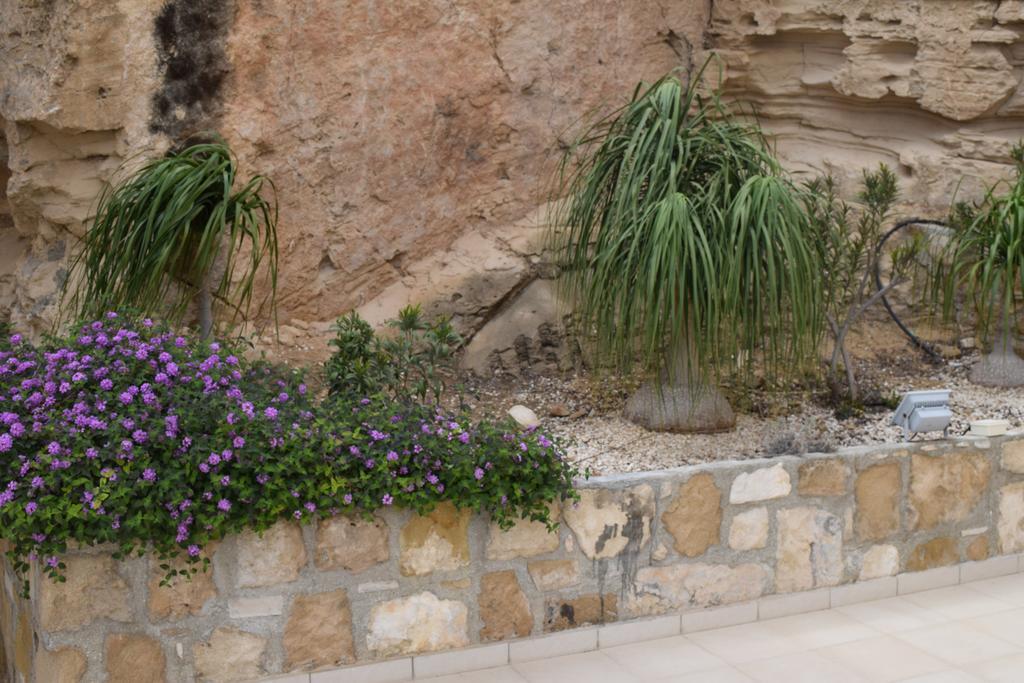 Panorama Apartment Paphos